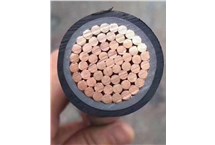 行业首款高层建筑专用防火电线问世 九游会老哥俱乐部登录电缆领跑 行业首款高层建筑专用防火电线问世 九游会老哥俱乐部登录电缆领跑