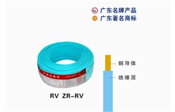 RV ZR-RV九游会老哥俱乐部登录电缆 RV ZR-RV九游会老哥俱乐部登录电缆