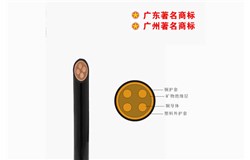 WD-BTTYZ-750V矿物质电缆 WD-BTTYZ-750V矿物质电缆