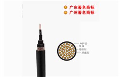 ZB-KVVP -450/750V阻燃聚氯乙烯绝缘铜网编织屏蔽聚氯乙烯护套控制电缆 ZB-KVVP -450/750V阻燃聚氯乙烯绝缘铜网编织屏蔽聚氯乙烯护套控制电缆