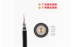 DJYPVP22-300/500V控制电缆 DJYPVP22-300/500V控制电缆