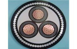 ZC-YJV-1-5芯系列-截面1.5-300mm2 ZC-YJV-1-5芯系列-截面1.5-300mm2